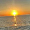 gilvan.figueira6