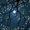 test6579