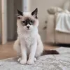 Tziki 🤍
