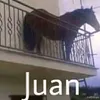 Juan 👍