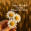 belinayelif71