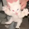 ykjkjkjkj