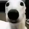 masieze