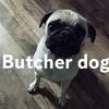 butcherdog69