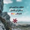 sara.mahmoud8676