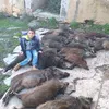 michelechessa26