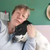 triskellejeandin