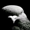username_14887