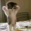 kevin_2010_134