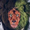 farmanshirzad6