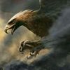 ibrahim.safwat4