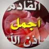 user99074305995767