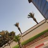 sidou.oran21