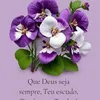 ananegoseki455