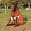 ezequiel.castelan6