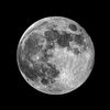 luvthemoon4