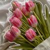 dany.gomez392