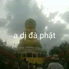 nhanphan499
