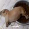 maxinto__zz