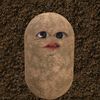 jusi3000