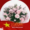 nguyn.thanh.hng9056