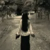 nyrax_zy