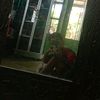rofiqi.ilyas
