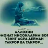 .sabr494