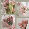 tulipan_0029