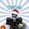 tapchek56