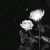 glzxssmput02