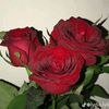 user2506972810923