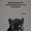 jaquar_105