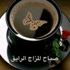 mo7ababikir