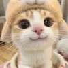 prince_ss_regal