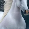 apbalmjyep
