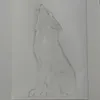 lonely_wolf___