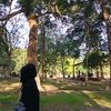 andini_540_
