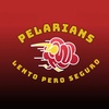 pelarianss