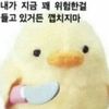 sendpp0