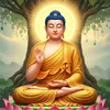 tamphat2625