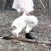zn._ra