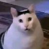 sinxyydimensi4