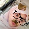 anindya_cal33
