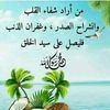 user3958688613623
