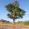 user6650261591791
