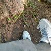staycalm184