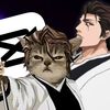 aizen_806