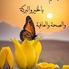 abeer.sayyad