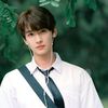 yu.linlin